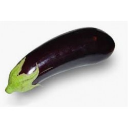 Eggplant - Berinjela - (Solanum melongela)  30g