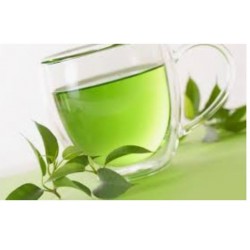 Green Tea  (camellia sinensis) 80 Pills