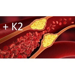 Nattokinase MIX 120 x 500mg