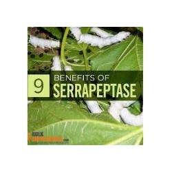 Serrapeptase  80000 UI  120 Kapseln